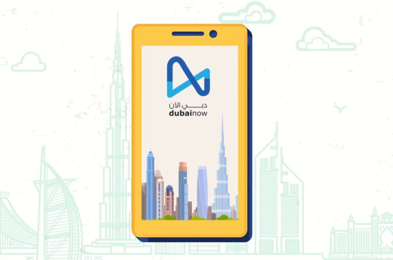 Dubai Now App